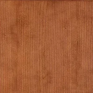 Modern kitchen design